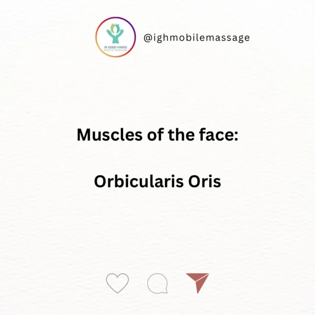 Orbicularis oris muscle, also known as musculus orbicularis oris is a complex, multi-layered muscle which attaches through a thin, superficial musculoaponeurotic system to the dermis of the upper lip and lower lip and serves as an attachment site for many other facial muscles around the oral region.

This muscle may be regarded as a single muscle anatomically, but functionally it appears to consist of different parts that act either independently or together with other facial muscles.

It has neither a bony nor tendinous origin.

#themoreyouknow #orbicularisorismuscle #musclesoftheface @ighmobilemassage