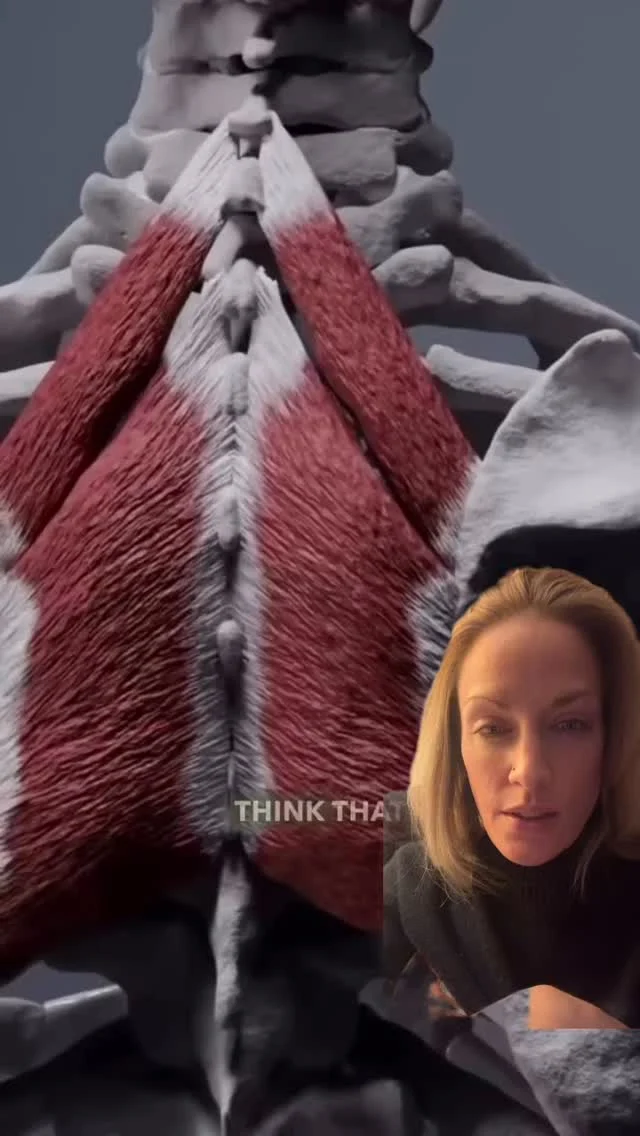 MUSCLE MONDAY!!

Let’s talk the RHOMBOIDS…these muscles are responsible for Scapular (shoulder blade) retraction, elevation & stabilization against the rib cage. Incredibly important for posture, when your rhomboids are over stretched or “locked” in a long position they become weak.

I approach this treatment in 2 ways:
1. Release the pec minor that pulls them forward from sitting too much or improper posture.
2. Teach you how to strengthen them + your core so you can start engaging your posture muscles properly to promote overall spine health.

To book with us:
CALL • TEXT 1-587-438-0066
ONLINE www.ighmobilemassage.com

#musclehealth #posture #ingoodhands #mobilemassagecalgary #mobilemassageregina #registeredmassagetherapy #massagenearme #inhomemassage #inhomemassagetherapy #medicalmassagetherapy #medicalmassagetherapist